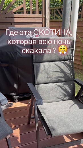 Comedic Moments with Olga: Night Escapades