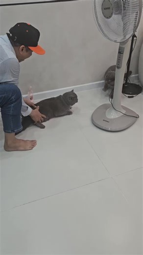 Video của Titanmen (@titanmenvn) với bản nhạc nhạc nền - Phương trần