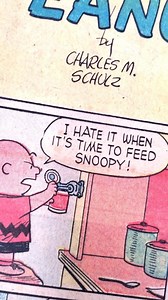 91 reactions | Feeding time! #charliebrown #snoopy #ilovecharliebrown #collectpeanuts #snoopygrams #peanutscomicstrips #peanutscomics #peanutsgang #peanutsfanclub | CollectPeanuts | Facebook