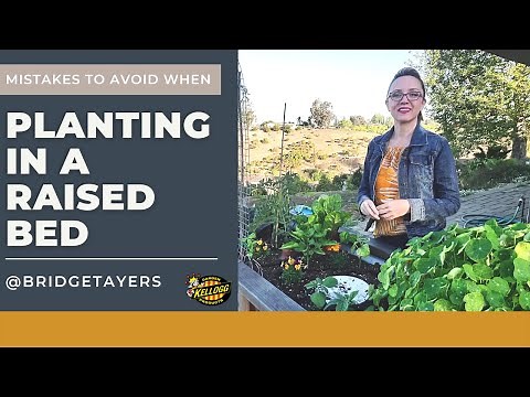 Planting a Raised Bed for Beginners: 👩🏼‍🌾🌱🦋 9 Tips For Raised Bed Garden Planning