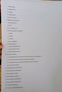 Name the following: The vegetative buds, shoot apex, etc. that... | Filo