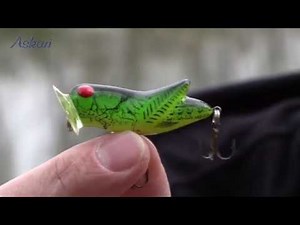 Popper, magische Anziehungskaft! Passend für die Oberflächenjäger!