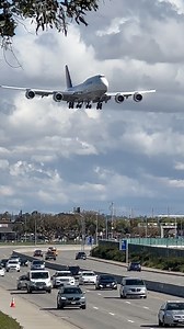 LUFTHANSA BOEING 747-8 LANDING AT LOS ANGELES INTERNATIONAL AIRPORT #fyp #la #losangeles #laxairport #planespotting #planespotter #planespotters #aviation #pilot #flightattendant #cabincrew #takeoff #aircraft #viral #viralvideos #landing #bigplanes #boeing747 | Nvd Aviation