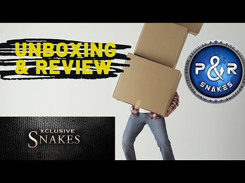 Unboxing & Review - Unsere Bestellung bei Xclusive Snakes
