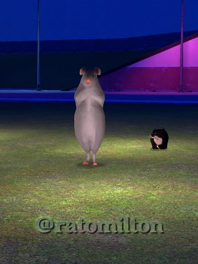 Learn the Rat Dance Tutorial with Rato Milton