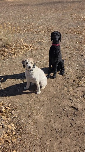 planting..seeds (@planting..seeds)’s videos with original sound - planting..seeds