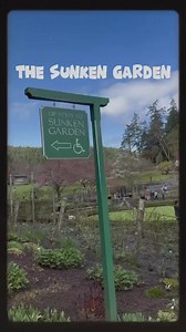 The Sunken Garden was originally a quarry. Once a pile of rock and rubble, the iconic Sunken Garden has long been the crown jewel of The Butchart Gardens. The first land reclamation project in the world, the garden boasts 151 flower beds and cradles an impressive assortment of flowers, trees and shrubs. #butchartgardens #sunkengardens #traveldestination #reclamation #whenincanada #touristattraction #touristdestination | Angie DB Berino