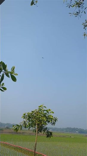 মুসলিম বিশ্ব এক হও #village #cumilla #nature #foryou #trending #viral #shorts