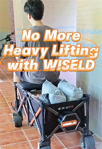 Smart Delivery Solutions with Wiseld Wagon