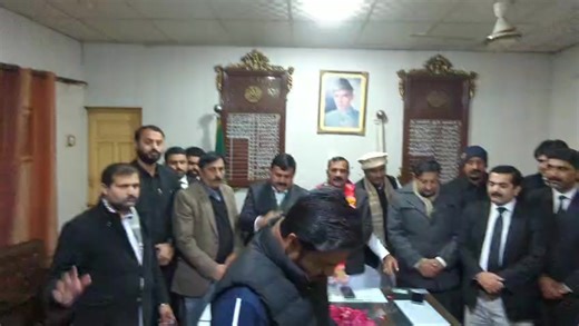 Understanding the Role of an Advocate