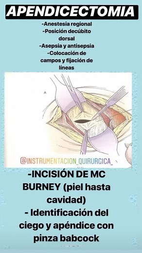 Cuentas recomendadas