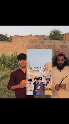 Understanding Walrus Behavior: Insights and Myths