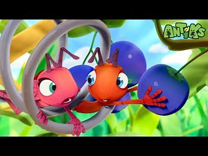Stuck in a Spring — Can They Escape the Bounce? | Antiks 🐜 | Funny Cartoons for Kids
