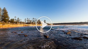 Surfer killed in shark attack off Dee Why beach