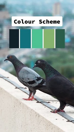 Architect Russell on TikTok