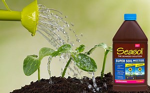Ensure every drop of water get to where it’s needed with Seasol Super Soil Wetter & Conditioner