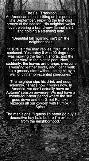 The Fall Transition #shorts #jokes #humor #funny