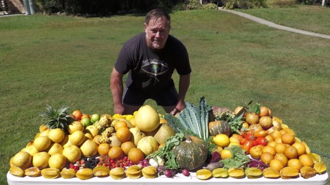 Change of Seasons Organic Backyard Food Garden Harvest
