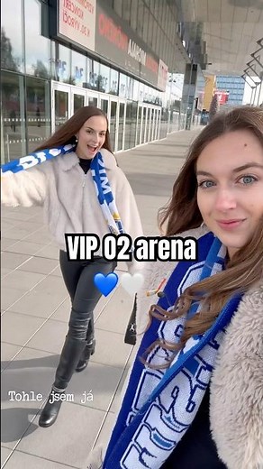Jak to vypadá ve VIP v O2 areně?