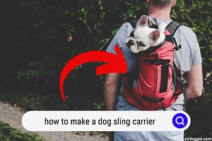 How to Make A Dog Sling Carrier & Save Your Money - SirDoggie.com