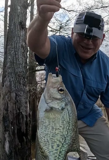 Catching Sacalait in the Atchafalaya Basin