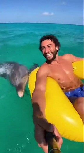Dolphins Steal My Pool Float!