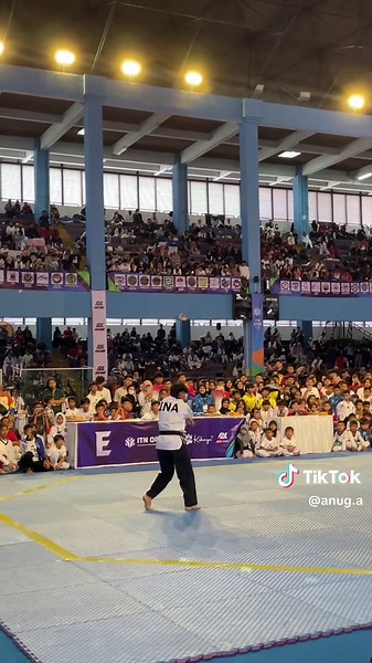 🤩🤩🤩 #taekwondo #tkd #fresstyle #itn