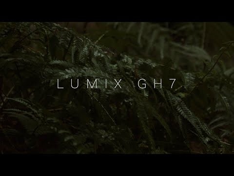 Lumix GH7 Cinematic Moody Film Look | My Own Custom LUT