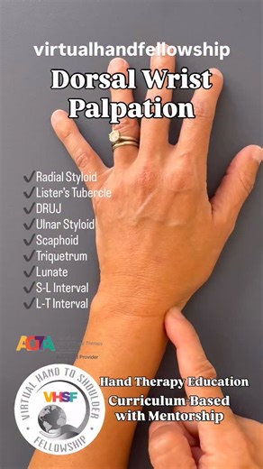 Virtual Hand to Shoulder Fellowship on Instagram: "Dorsal wrist palpation is not an isolated skill. It is a foundational competency that anchors clinical reasoning across examination, differential diagnosis, and treatment planning. Today marks the start of the January cohort of the Virtual Hand Therapy Fellowship, and we begin with a cornerstone of upper-extremity practice: anatomy. In this first week, fellows focus on developing precise anatomical understanding, then explicitly linking it to cl