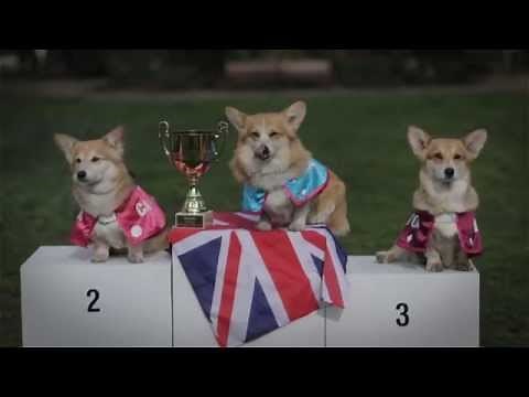Royal Corgi Race for Royal Baby