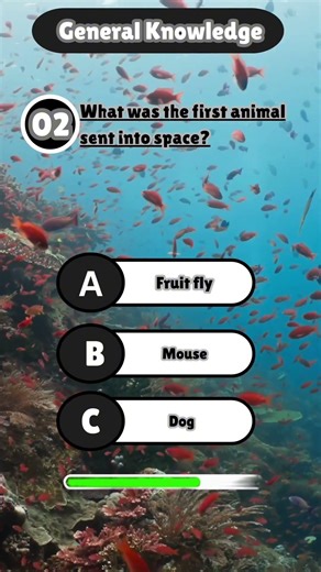 I Scored 100% On A General Knowledge Quiz!