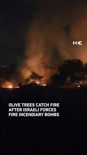 Olive trees catch fire after Israeli forces fire incendiary bombs in Jenin
