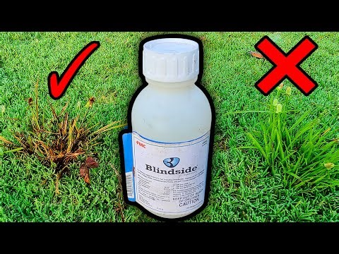 One Weed Control to Dominate Tough Weeds