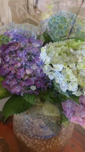 紫陽花で心弾むランチ inやまぼうし（鹿児島県日置市伊集院町）2026年6月3日 #鹿児島グルメ #和食 #カフェ