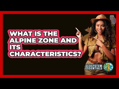 What Is The Alpine Zone And Its Characteristics? - Ecosystem Essentials