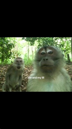 Me and My Best Friend: Celebrating Friendship