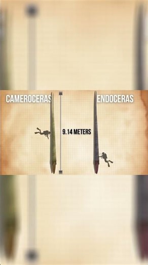 Les Tous Premiers Prédateurs Géants