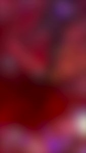 2.7K views · 14 reactions | Our team took a tour of the Appleton Rum Museum. It was an amazing blend of premium rum, captivating history and great company. Check out the highlights! #OnTheRum #AppletonEstateRum | Nationwide90FM | Facebook