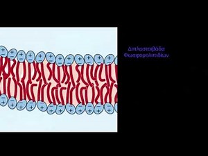 Κυτταρική μεμβράνη