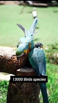 The Amazon Rainforest #facts #factsinhindi #geography #amazonrainforest