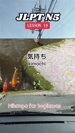 JLPT N5 Lesson 19 (Nihongo for beginners) #japanese #japan #japaneselesson #nihongo