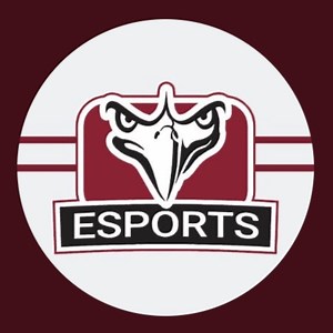 hinds_esports - Twitch