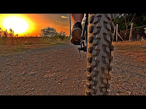 Schwalbe Marathon Plus Bicycle Tyres Review