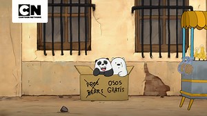 115K views · 3.1K reactions |  ¡Los ositos están en México en busca de su hogar perfecto! ❤️#Escandalosos #CartoonNetwork | Cartoon Network LA | Facebook