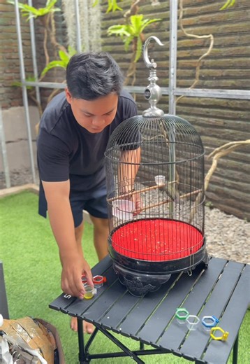 Rekomendasi cepuk nextar yang praktis