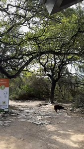 Add this hike to your Austin outdoors list 🌿 Hill of Life Trail (🎥: @melina_atx) #austinbucketlist #austin #thingstodoinaustin | Austin Bucket List
