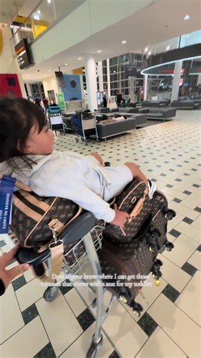 Finding the Perfect Toddler Suitcase with a Seat