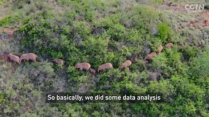 26K views · 250 reactions | A record-breaking group of Chinese...