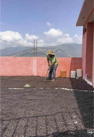 Coffee Tours in Guatemala - Experience Tradition