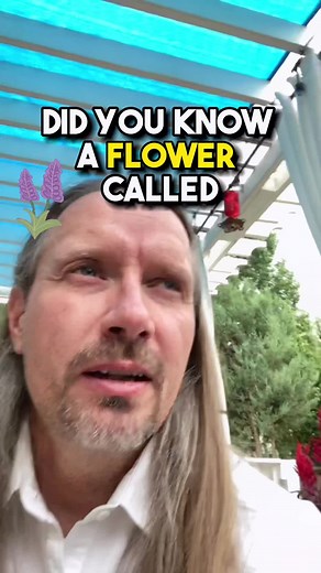 Origin of Metformin: The French Lilac Connection